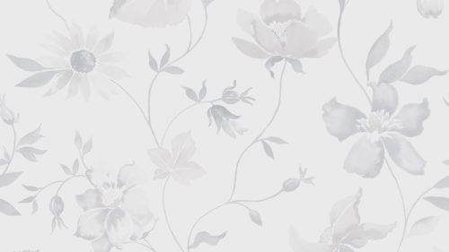 Aquarelle  5303